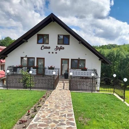 Casa Sofia Apartment Baltatesti ภายนอก รูปภาพ