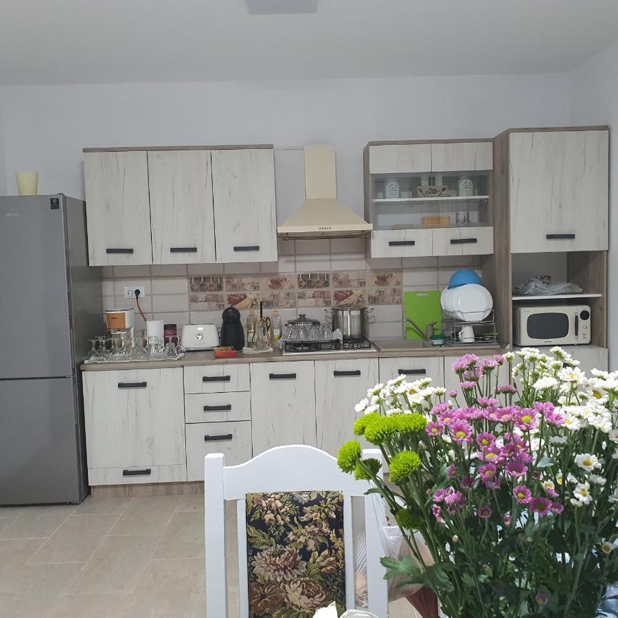 Casa Sofia Apartment Baltatesti ภายนอก รูปภาพ