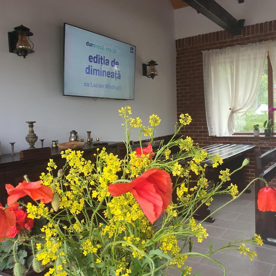 Casa Sofia Apartment Baltatesti ภายนอก รูปภาพ