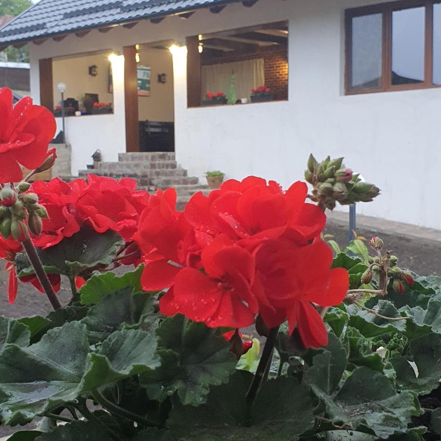 Casa Sofia Apartment Baltatesti ภายนอก รูปภาพ