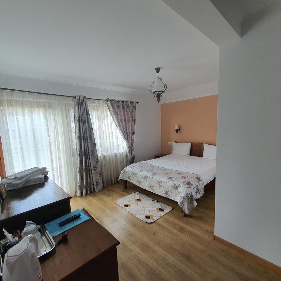 Casa Sofia Apartment Baltatesti ภายนอก รูปภาพ