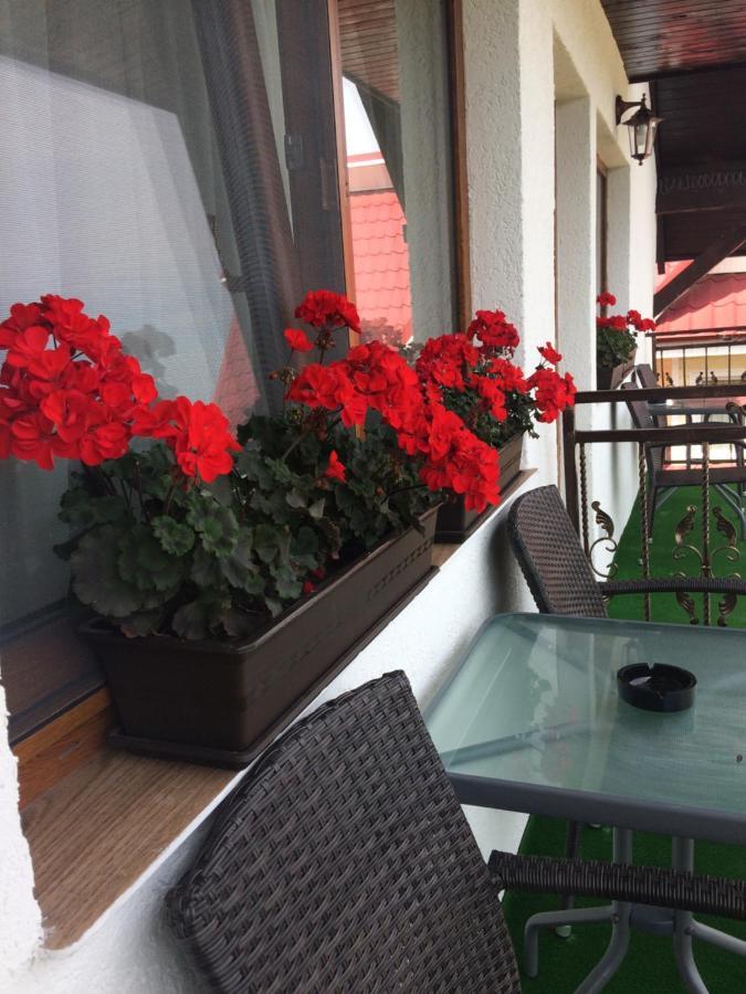 Casa Sofia Apartment Baltatesti ภายนอก รูปภาพ