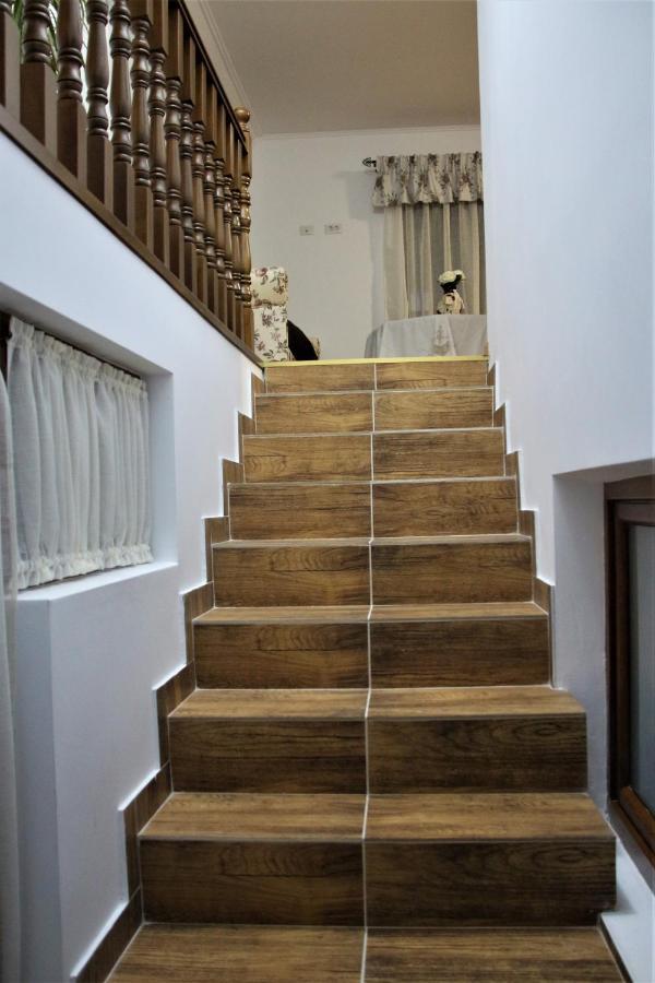 Casa Sofia Apartment Baltatesti ภายนอก รูปภาพ